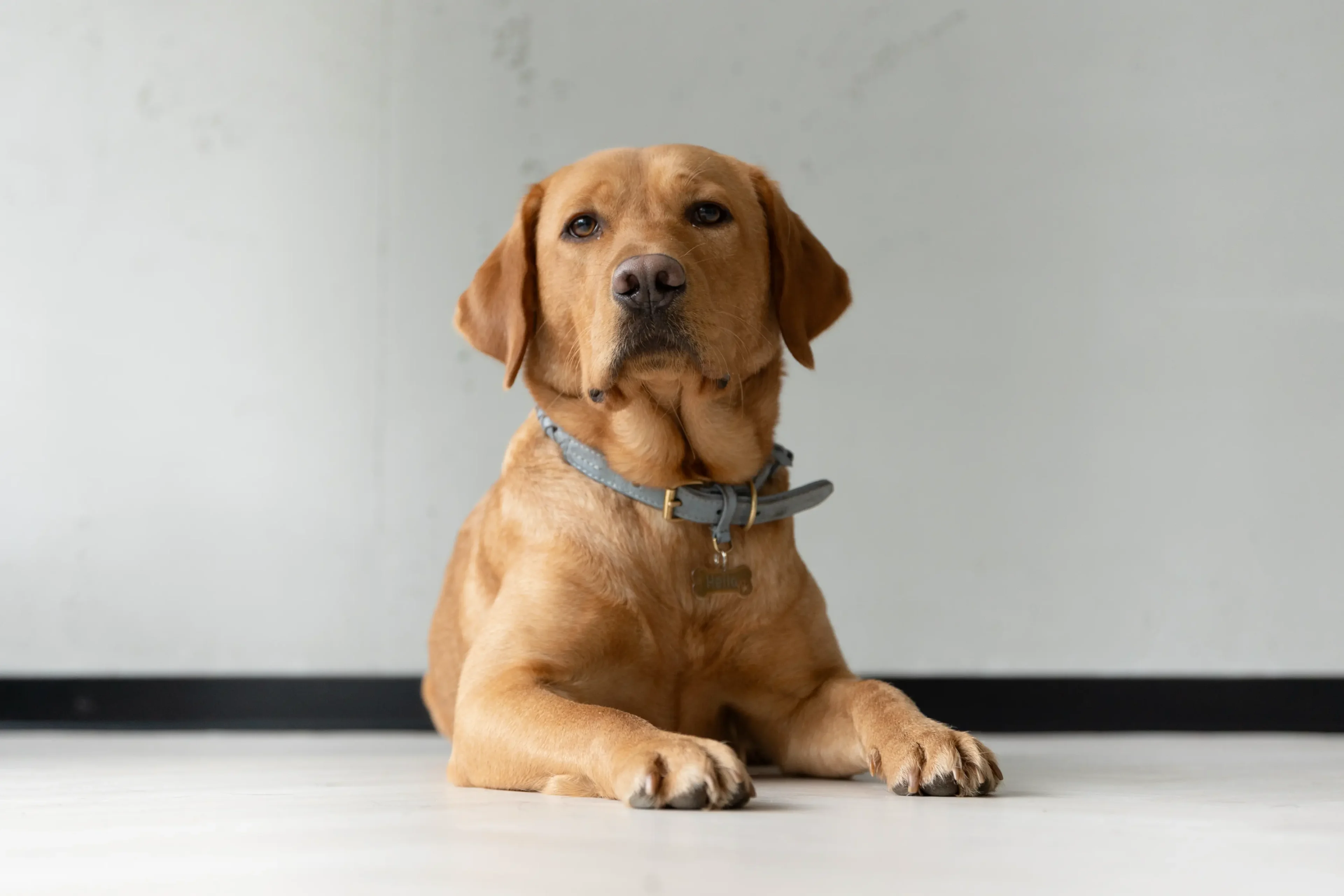 architekturbuero toebben Hella